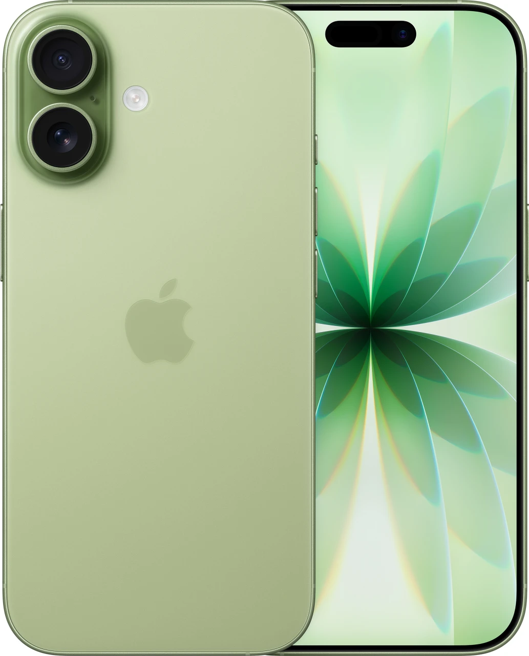 Apple iPhone 17 512 GB: 15.93 cm (6.3″) Display with Promotion, A19 Chip, Center Stage Front Camera for Smarter Group Selfies, Improved Scratch Resistance, All-Day Battery Life; Black (Upgrade) - Image 3